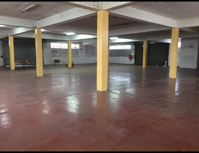 1,180M² FACTORY TO LET IN ELSIES RIVER INDUSTRIAL